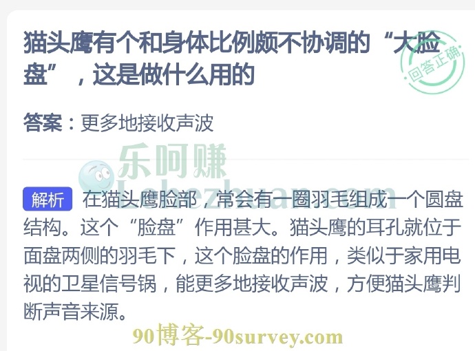 猫头鹰有个和身体比例颇不协调的“大脸盘”,这是做什么用的?
