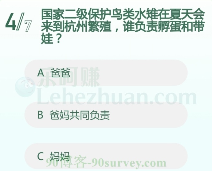 国家二级保护鸟类水雉在夏天会来到杭州繁殖,谁负责孵蛋和带娃?