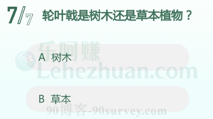 轮叶戟是树木还是草本植物?