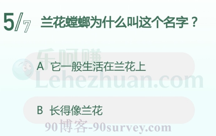兰花螳螂长得像兰花