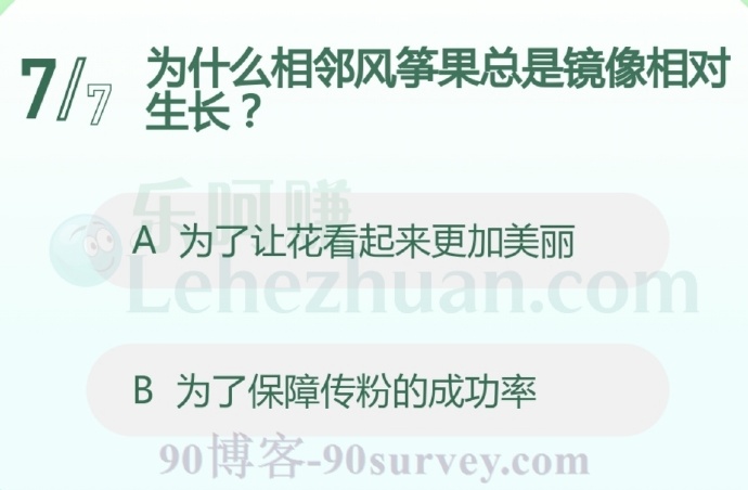 为什么相邻风筝果总是镜像相对生长?