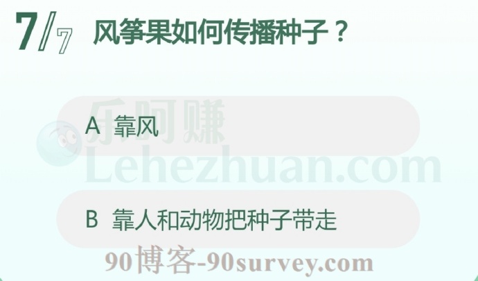 风筝果靠风传播种子