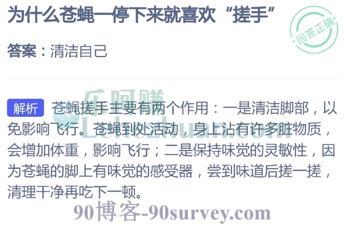 为什么苍蝇一停下来就喜欢“搓手”?