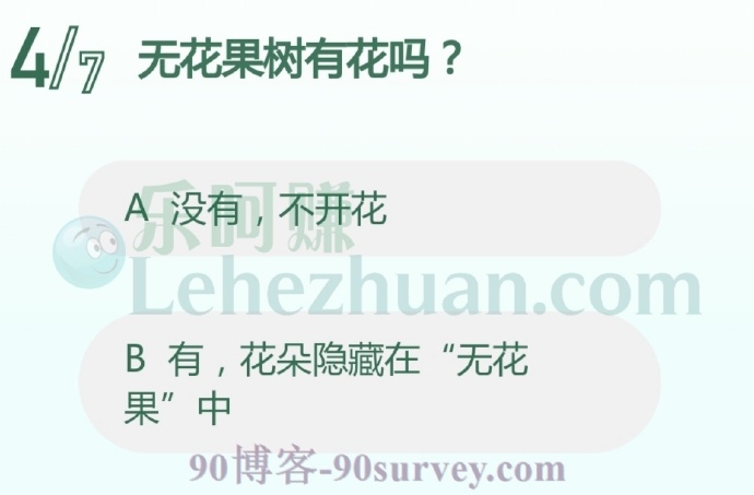 无花果树有花