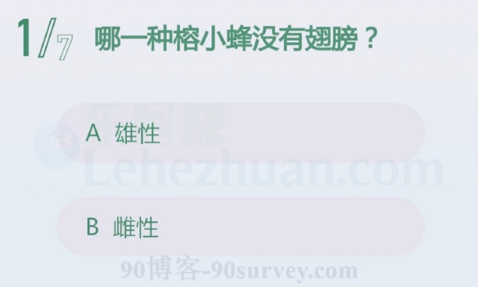 雄性榕小蜂没有翅膀