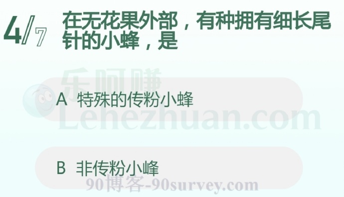 在无花果外部,有种拥有细长尾针的小蜂,是什么?