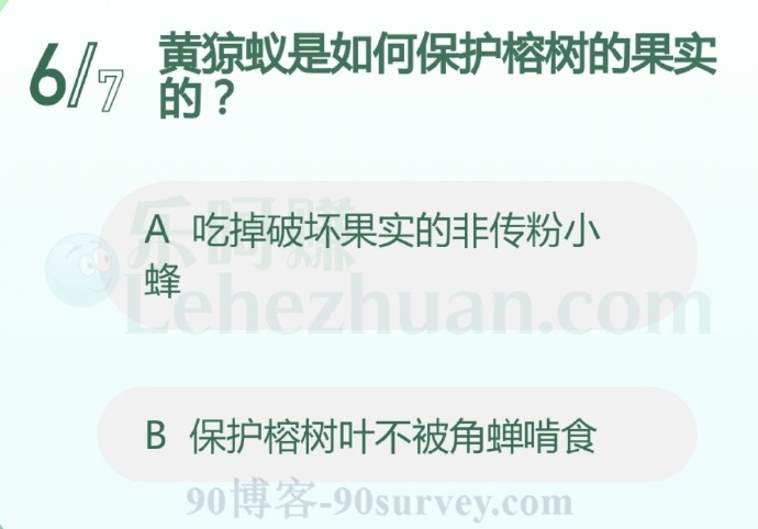 黄猄蚁是如何保护榕树的果实的?