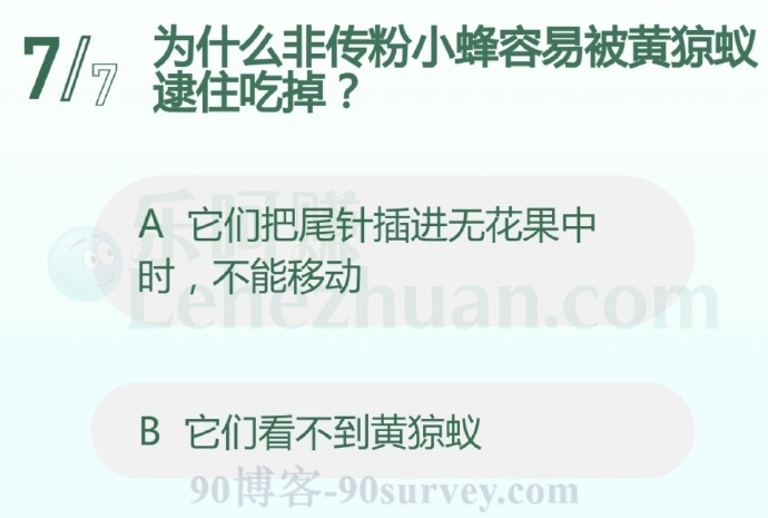 为什么非传粉小蜂容易被黄猄蚁逮住吃掉?