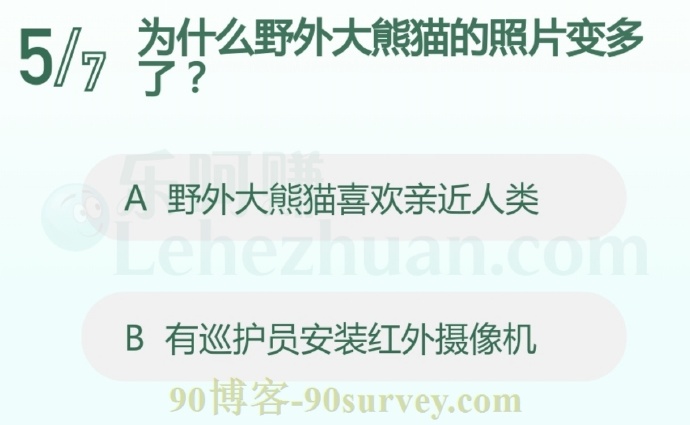为什么野外大熊猫的照片变多了?