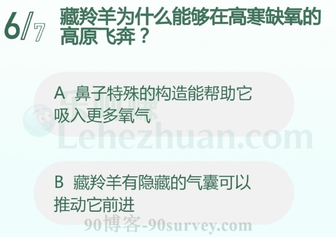 藏羚羊为什么能够在高寒缺氧的高原飞奔?