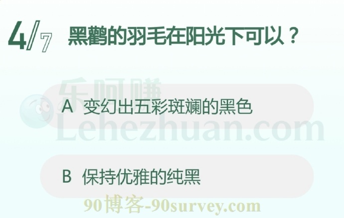 黑鹳的羽毛在阳光下可以?
