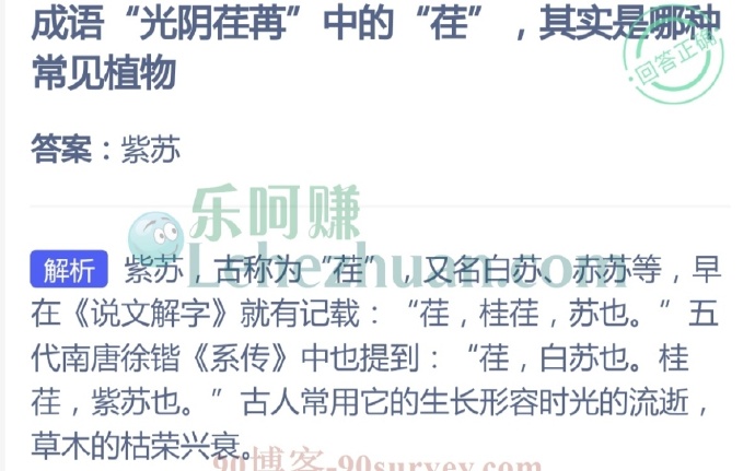 成语“光阴荏苒”中的“荏”,其实是哪种常见植物?