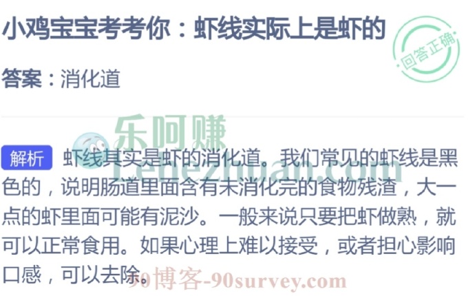 小鸡宝宝考考你:虾线实际上是虾的?