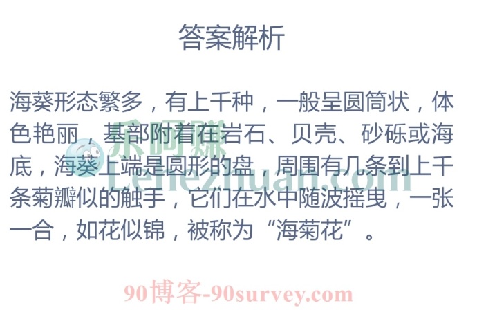 以下哪种动物被称为是四季盛开不败的?