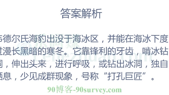 下列选项中被称为“打孔巨匠”的海洋生物是?
