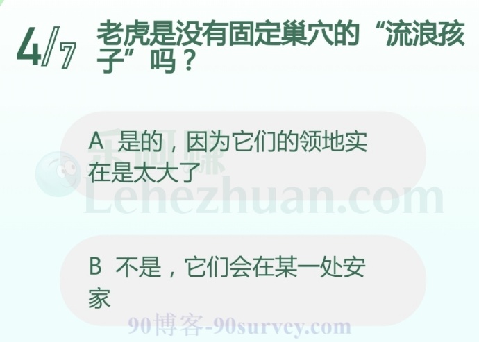 老虎是没有固定巢穴的“流浪孩子”吗?