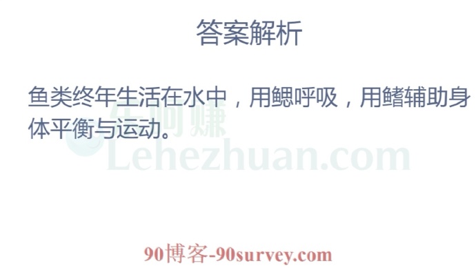 鱼类靠什么来平衡身体?