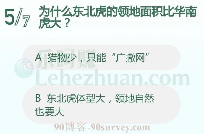 为什么东北虎的领地面积比华南虎大?