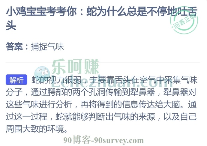 蛇为什么总是不停地吐舌头?