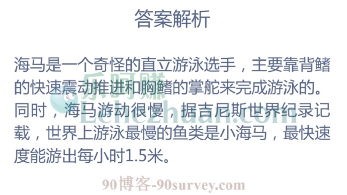 海马游泳时是什么姿势?