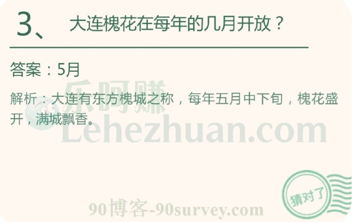 大连槐花在每年5月开放