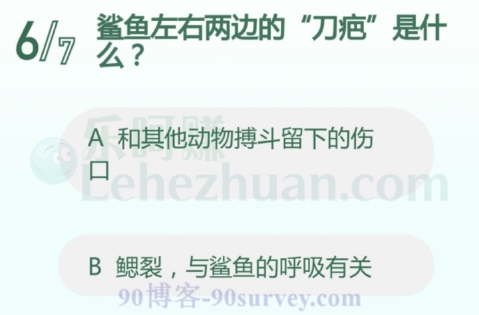鲨鱼左右两边的“刀疤”是什么?
