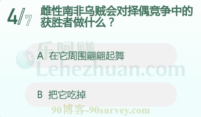 雌性南非乌贼会对择偶竞争中的获胜者做什么?