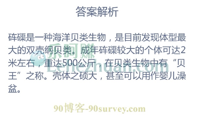 在贝类生物中,因体型巨大有“贝王”之称的是?