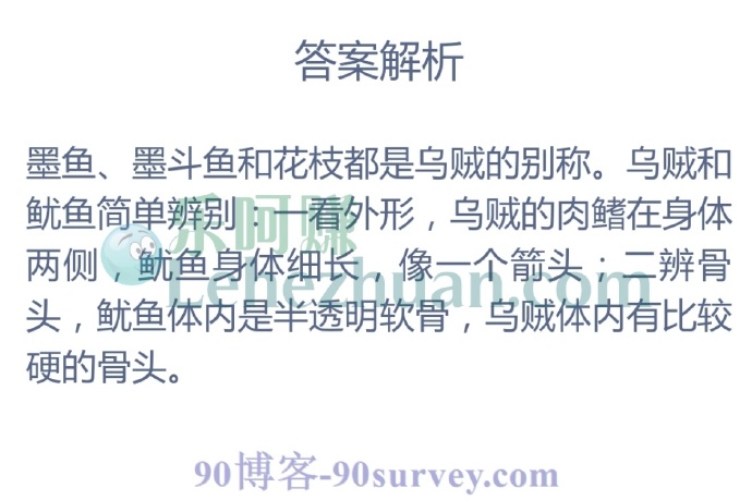 一般来说,墨鱼、花枝或墨斗鱼指的都是?