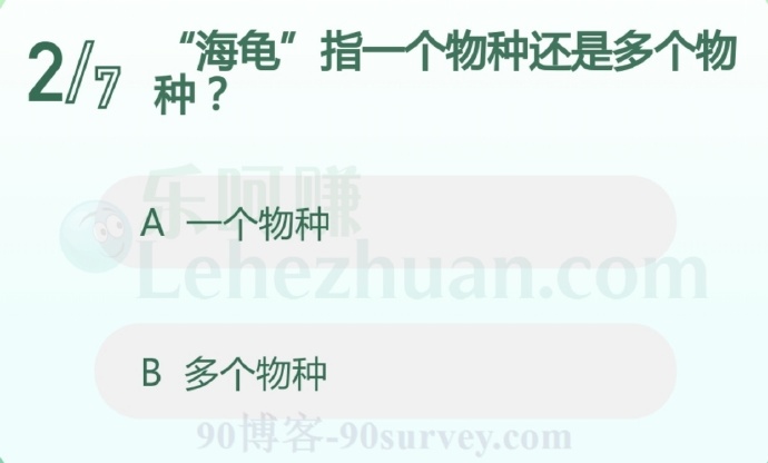 海龟指多个物种