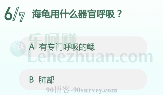 海龟用肺呼吸