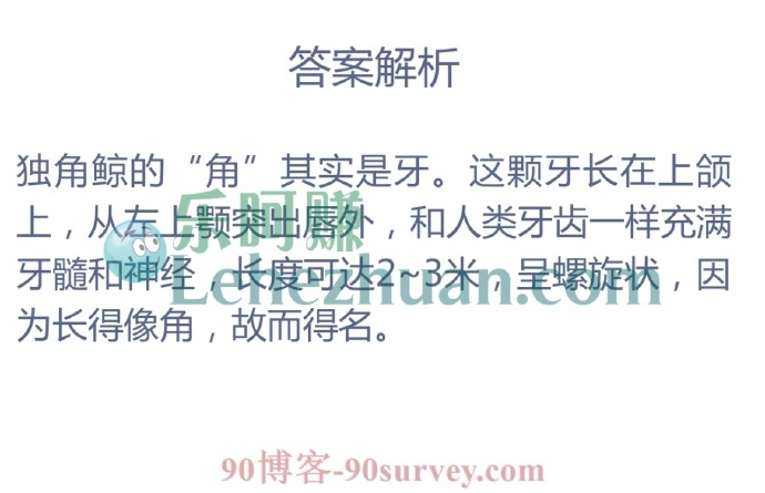 独角鲸的角其实是它的?