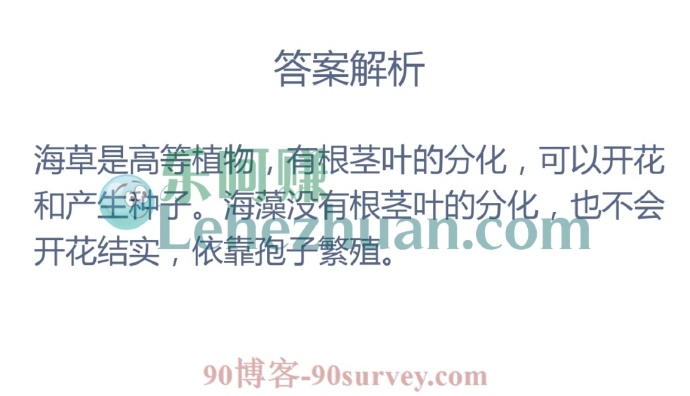 猜一猜:哪种海洋植物会开花?