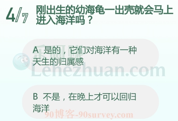 刚出生的幼海龟一出壳就会马上进入海洋吗?