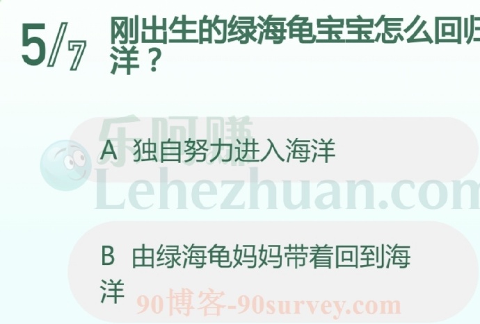 刚出生的绿海龟宝宝怎么回归海洋?