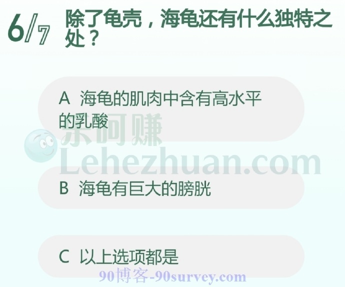 除了龟壳,海龟还有什么独特之处?