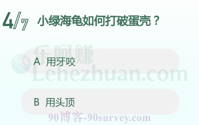 小绿海龟用牙咬破蛋壳