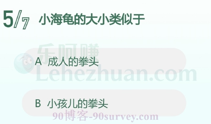 刚出生的小海龟大小和小孩的拳头差不多