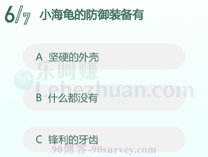 小海龟的防御装备有什么?