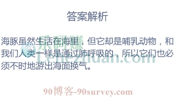 海豚是通过什么进行呼吸?