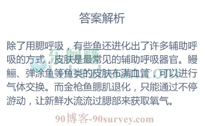 猜一猜:哪种鱼能用皮肤辅助呼吸?