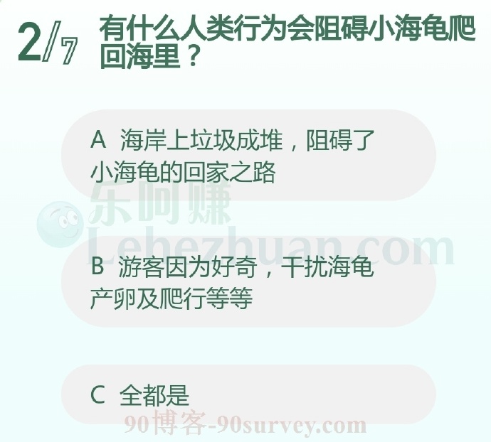 有什么人类行为会阻碍小海龟爬回海里?