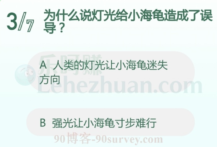 为什么说灯光给小海龟造成了误导?