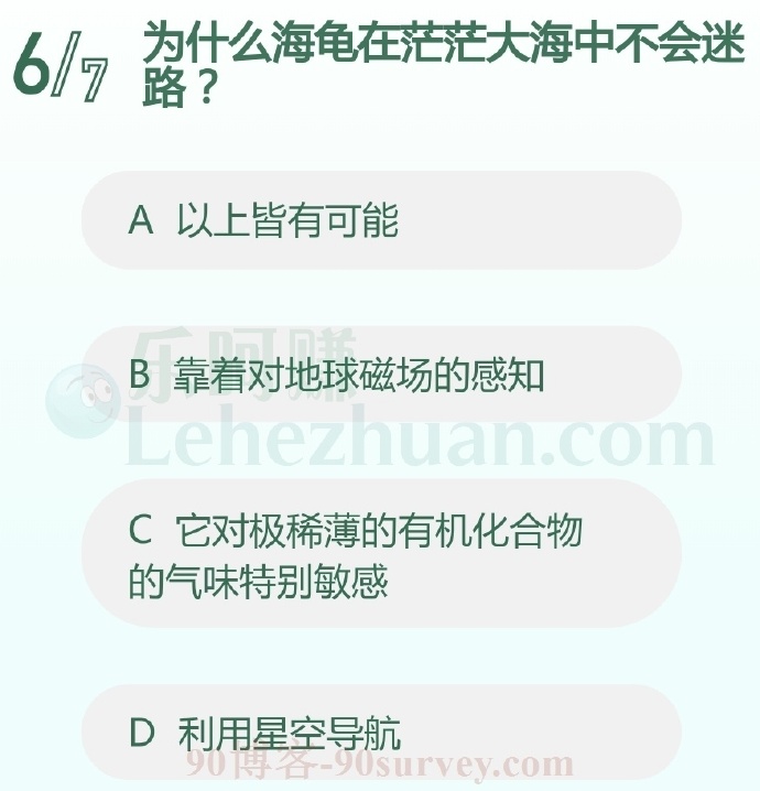 为什么海龟在茫茫大海中不会迷路?