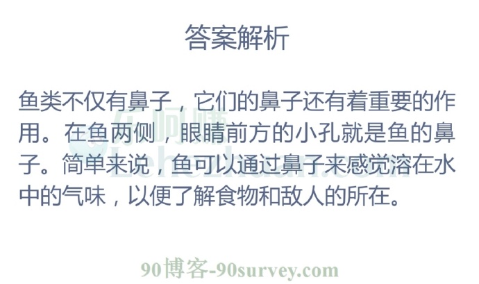 海洋冷知识:鱼有鼻子吗?