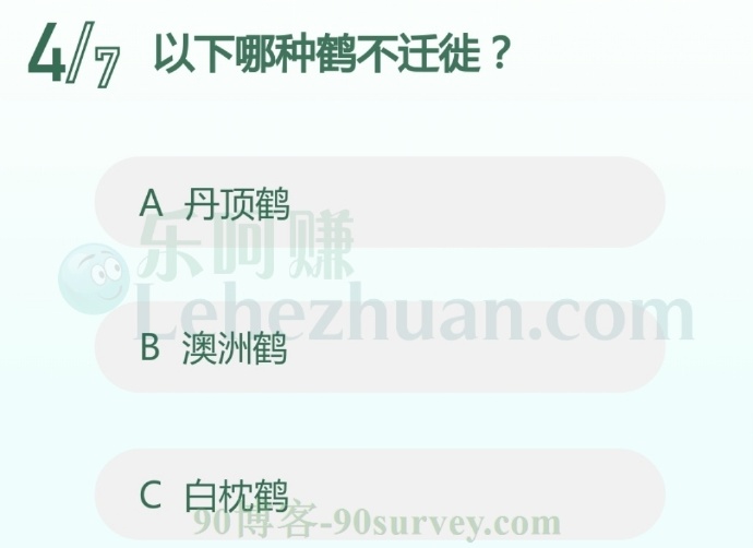 澳洲鹤是一种不迁徙的留鸟