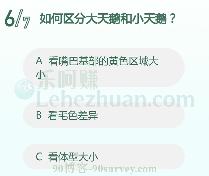 如何区分大天鹅和小天鹅?