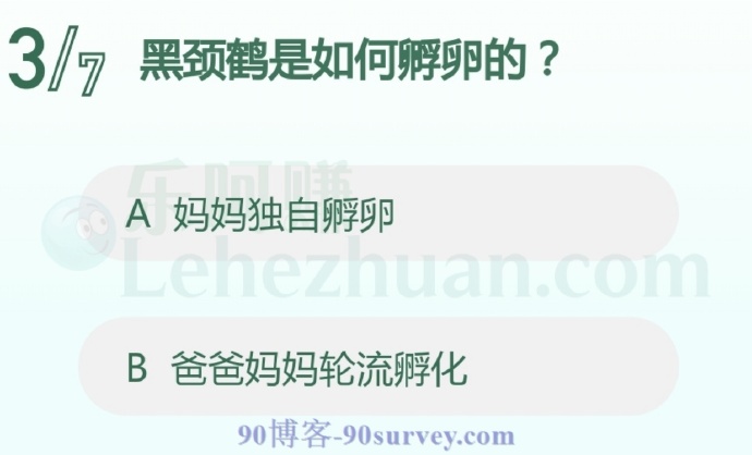 黑颈鹤是如何孵卵的?