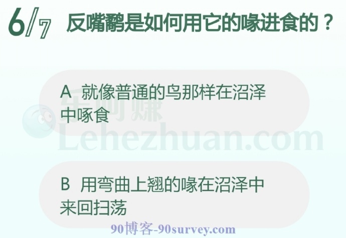 反嘴鹬是如何用它的喙进食的?