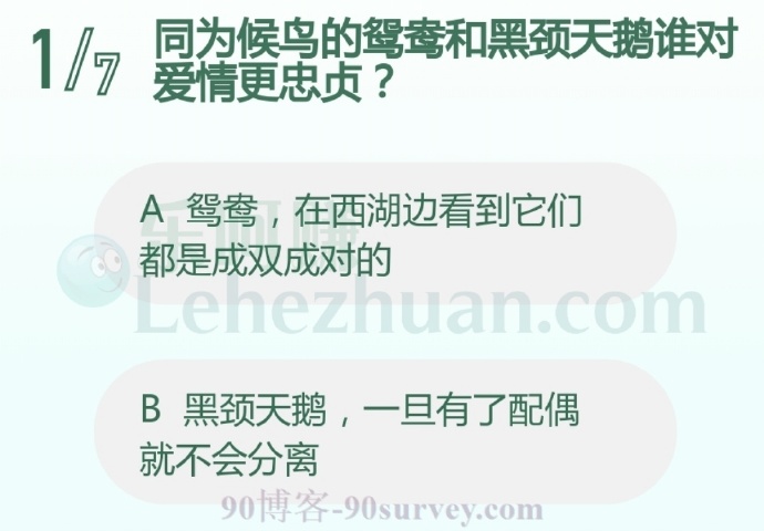 同为候鸟的鸳鸯和黑颈天鹅谁对爱情更忠贞?